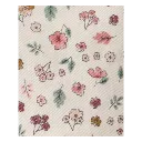 ODOO - Moda (1).webp